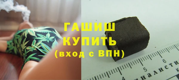 шишки Белокуриха