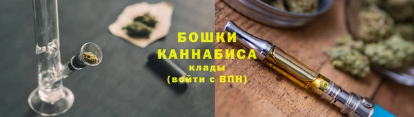 шишки Белокуриха