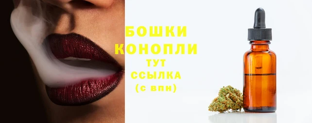 apvp Осинники