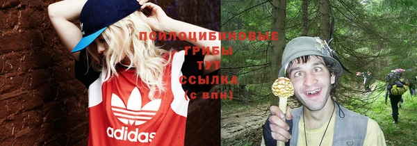 apvp Осташков