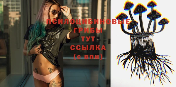 apvp Осинники