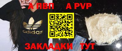 амф Кингисепп