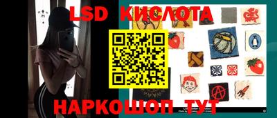 амф Кингисепп
