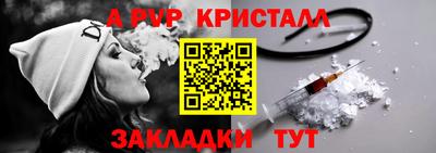 амф Кингисепп