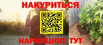 амф Кингисепп