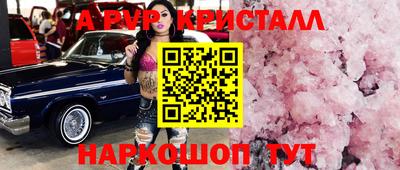 амф Кингисепп