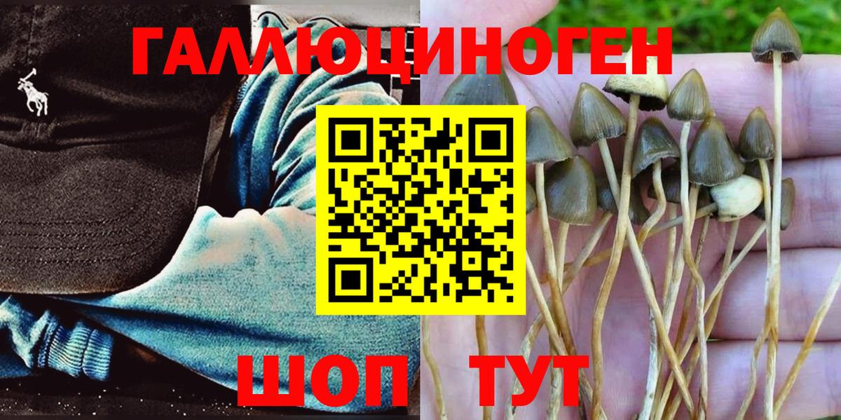 Псилоцибиновые грибы MAGIC MUSHROOMS Санкт-Петербург