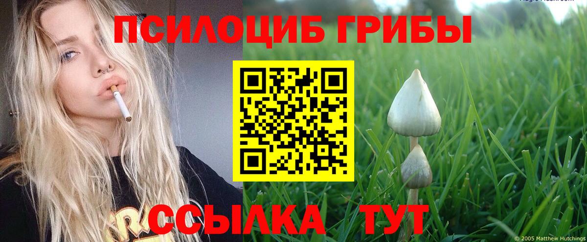 Галлюциногенные грибы прущие грибы  Санкт-Петербург 