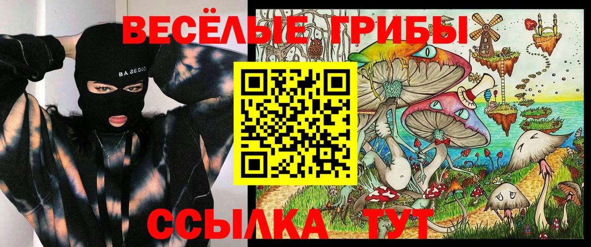Санкт-Петербург  Галлюциногенные грибы ЛСД  Вход с VPN  Псилоцибиновые грибы Psilocybe 